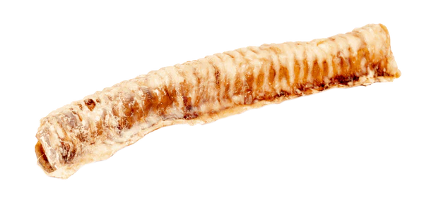 10 inch Dried Beef Trachea